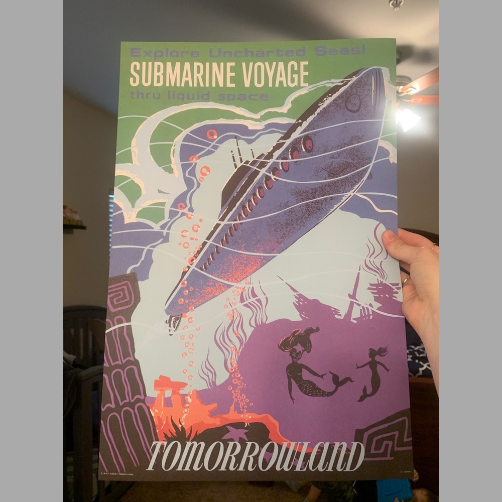 Disneyland Ride Poster